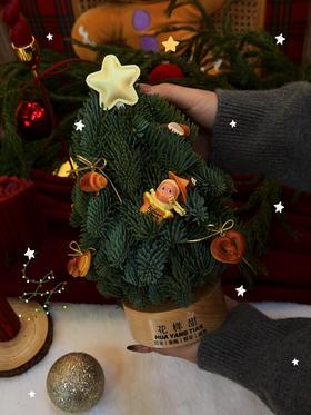 圣诞限定   小精灵星星人 · 音乐盒圣诞树