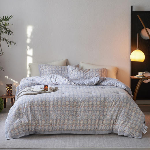 【限时秒杀】自然醒A类抗菌/原麻皱皱纱可水洗懒人被春秋被冬被MDL（不参与优惠券） 商品图8