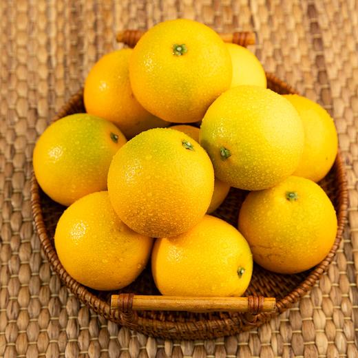 盈香园 哀牢山3000橙4.5kg(珍品) 商品图4