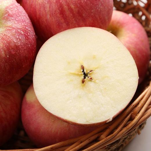 【盈香园】阿克苏冰雪红富士礼盒3kg12粒(80-90mm) 商品图6