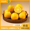 盈香园 哀牢山3000橙4.5kg(珍品) 商品缩略图0