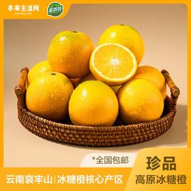 盈香园 哀牢山3000橙4.5kg(珍品)