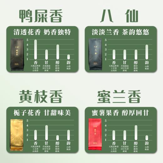 天池·青山·品鉴装
（黄枝香、蜜兰香、八仙、鸭屎香）
28g/盒 商品图2