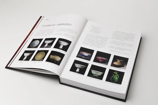 嘉德文库 | 简素为绚——吉美博物馆及竹月堂藏中国五至十八世纪一道釉 商品图3