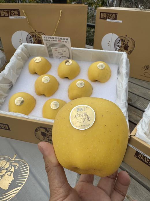 维纳斯 黄金苹果 纯甜无酸 清脆香甜 多汁 商品图3