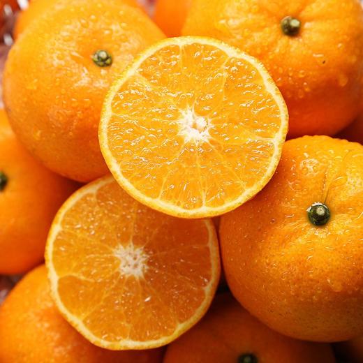 【盈香园】无核岩溶冬蜜柑3kg礼盒装(特级 单果150g+) 商品图2