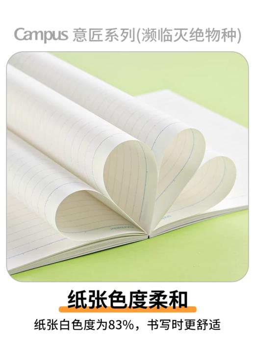 日本KOKUYO国誉 Campus无线装订本 商品图3