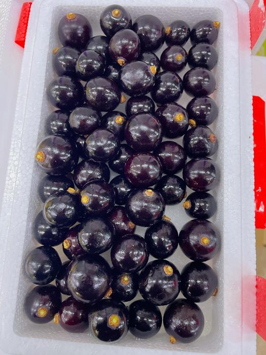 嘉宝果一盒 商品图0