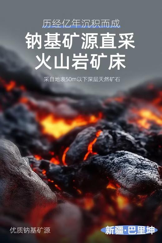 百特宠天然钠基矿砂 商品图1