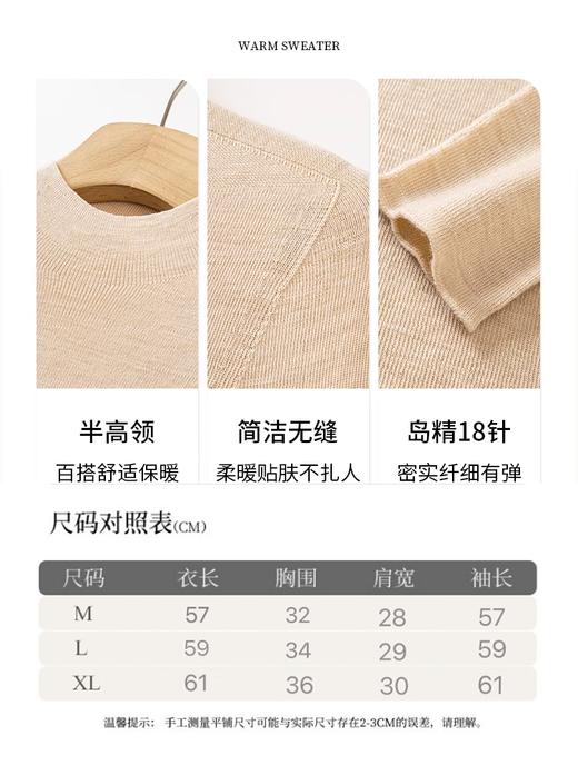 臣禾	【智感毛衫-半高领】岛精18针100%羊毛套头针织衫	JZ254090575 商品图5