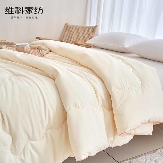 聚乳酸吐司科技纤维被 商品图2