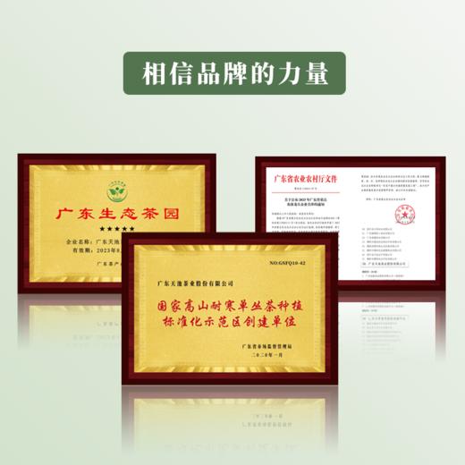 天池·青山·品鉴装
（黄枝香、蜜兰香、八仙、鸭屎香）
28g/盒 商品图4