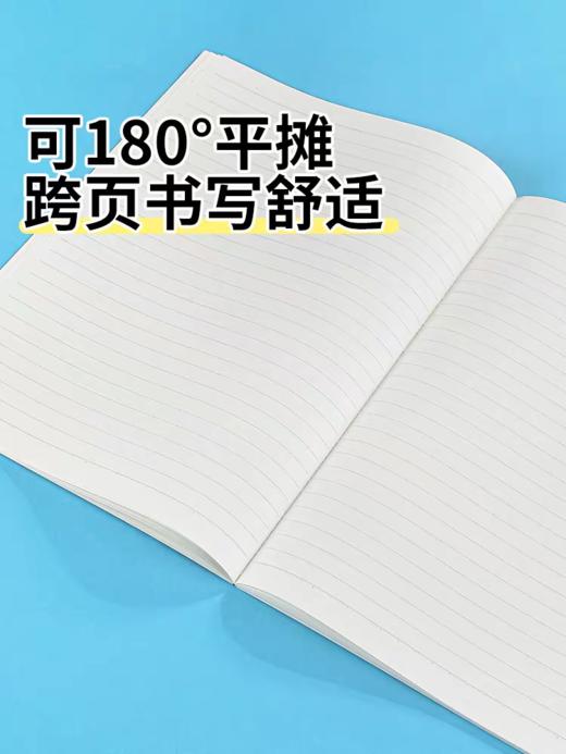日本KOKUYO国誉 Illustrator无线装订本B5 商品图2