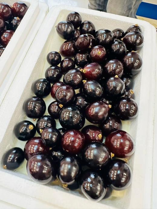 嘉宝果一盒 商品图1