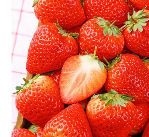 丹东九九草莓500g 商品图0