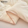 聚乳酸吐司科技纤维被 商品缩略图4