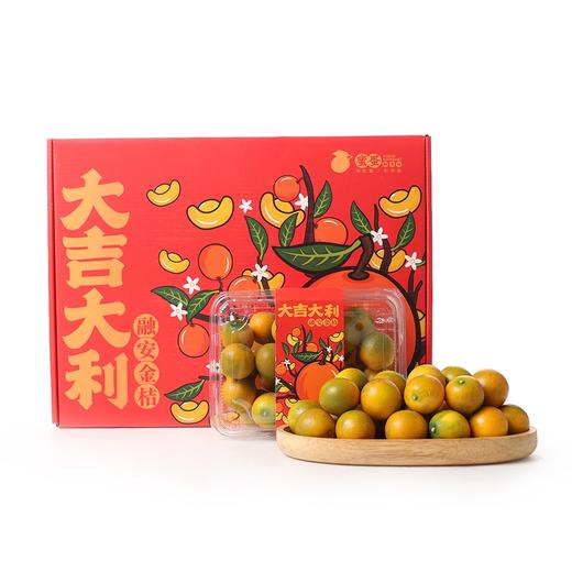 广西融安 滑皮金桔蜜蛋中果2kg礼盒装(52-60粒/kg) 商品图0