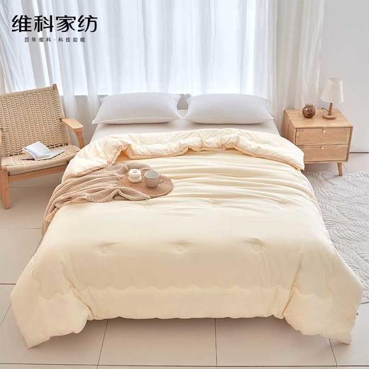 聚乳酸吐司科技纤维被 商品图0