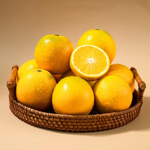 盈香园 哀牢山3000橙4.5kg(珍品) 商品图5