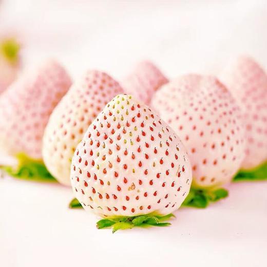 淡雪白草莓250g/盒 商品图0