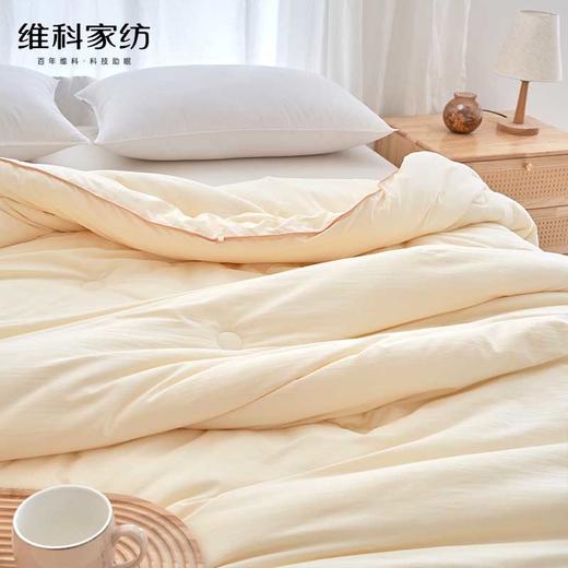聚乳酸吐司科技纤维被 商品图3