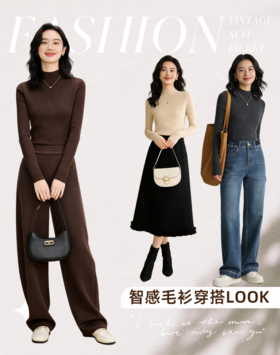 臣禾	【智感毛衫-半高领】岛精18针100%羊毛套头针织衫	JZ254090575