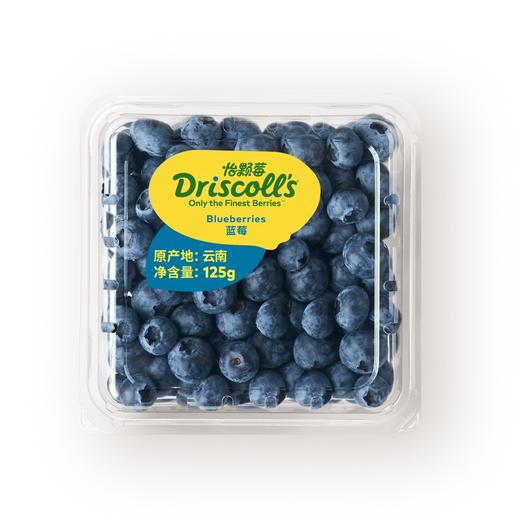 Driscoll’s怡颗莓-云南蓝莓中果4盒装(单盒125g 果径14mm+) 商品图1