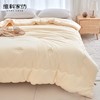 聚乳酸吐司科技纤维被 商品缩略图1