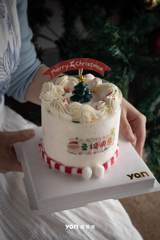 圣诞-墨绿色圣诞树装饰蛋糕 商品图1