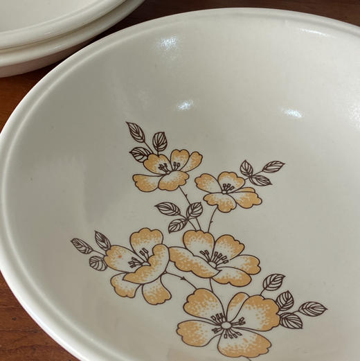 【苏州】英国Staffordshire产Biltons Floral Ironstone浅汤碗 B0316 商品图1