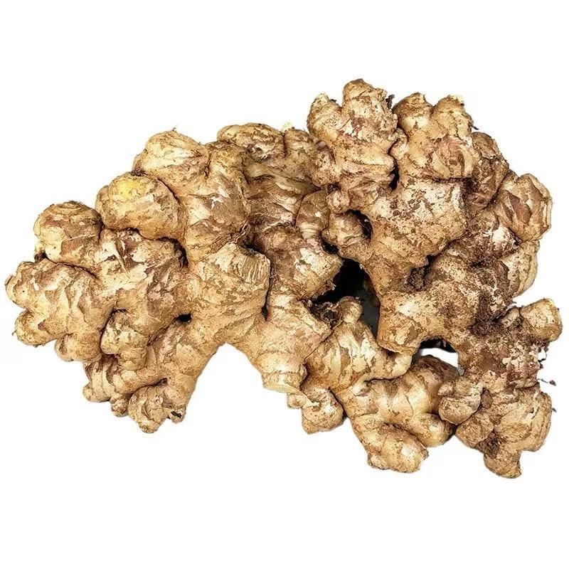 精选小黄姜约250g/份