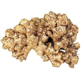 精选小黄姜约250g/份