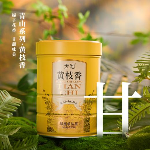 天池·青山·黄枝香
125g/罐 商品图1