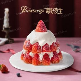 4英寸草莓季动物奶油分享蛋糕6选1