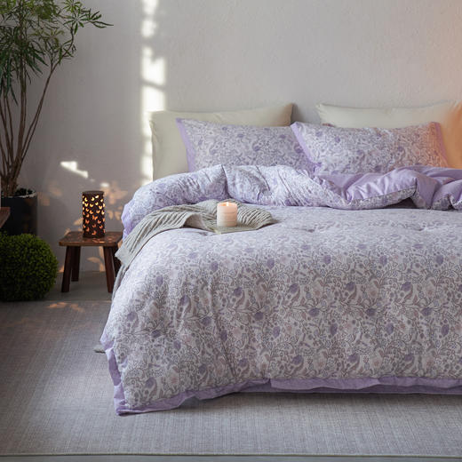 【限时秒杀】自然醒A类抗菌/原麻皱皱纱可水洗懒人被春秋被冬被MDL（不参与优惠券） 商品图3