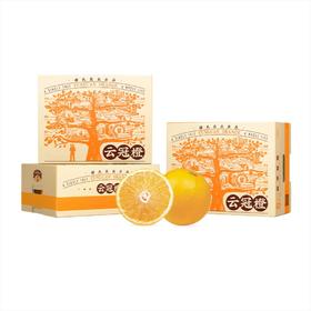 褚氏农业云冠橙5kg（优级L型）