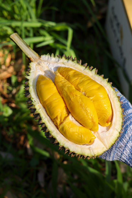 马来西亚猫山王榴莲鲜果包5房 商品图6