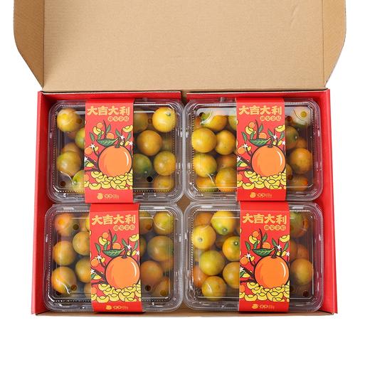 广西融安 滑皮金桔蜜蛋中果2kg礼盒装(52-60粒/kg) 商品图1