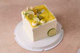 柠檬巴巴露亚（方）