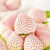淡雪白草莓250g/盒 商品缩略图3