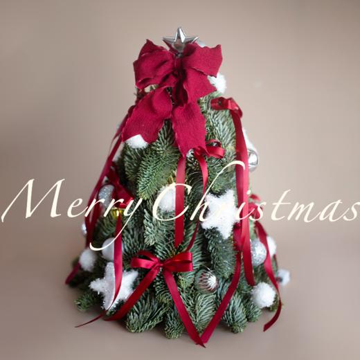 2025圣诞树 商品图0