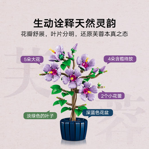 乐高LEGO 芙蓉LEGC10372 商品图4