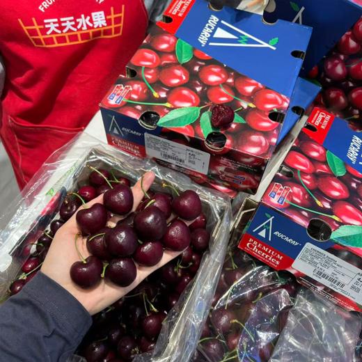 四JJJJ 拉宾斯车厘子巨大果  商品图8