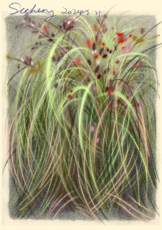 锦江丨SCC 路边野花系列01 商品图0