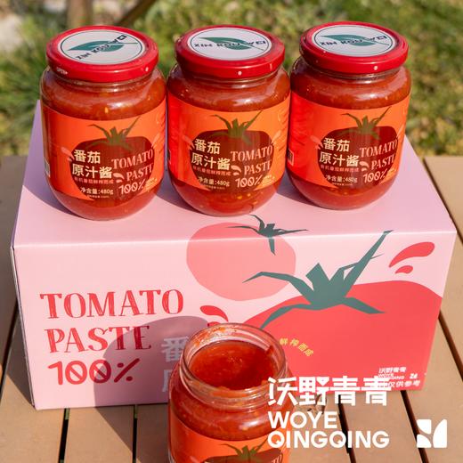 番茄原汁酱 480g/瓶 有机番茄鲜榨而成 商品图5