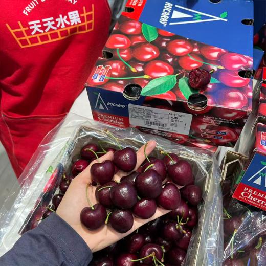 四JJJJ 拉宾斯车厘子巨大果  商品图9