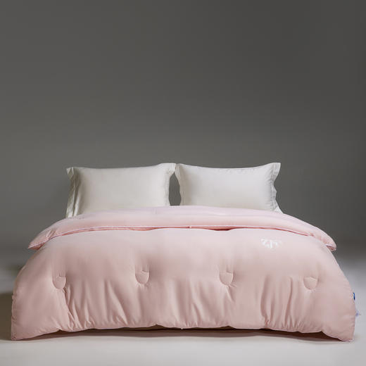 【换季出清】自然醒60支全棉磨毛10A中科抗菌被子被芯LFS 商品图0