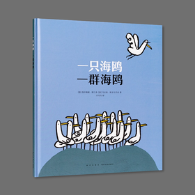 迷你棒丨一只海鸥，一群海鸥