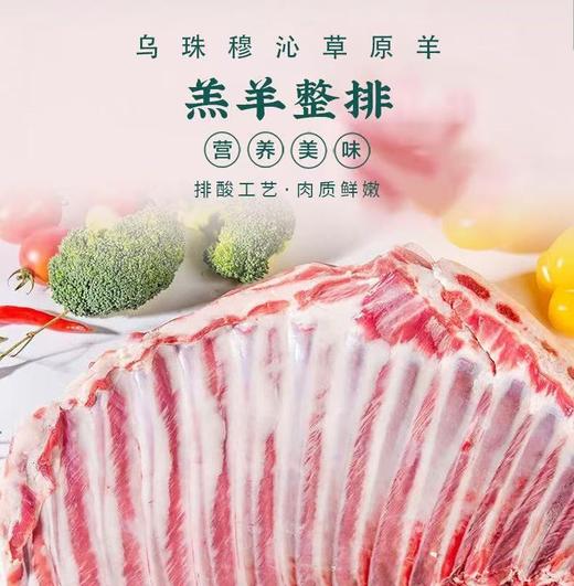 内蒙古乌珠穆沁草原羊(半羊卡5.25KG) 商品图0