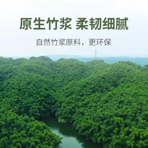 美穗吉家(mihooce)亲肤柔韧卷纸 本色竹浆厚韧耐用大分量卫生纸巾 1提（70g/卷*12卷 商品图4